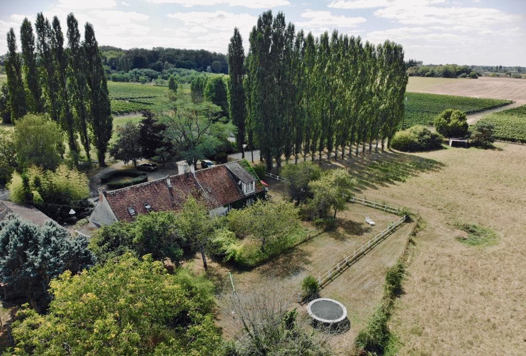 Vista aérea de la finca: la casa, el jardín cerrado, la alameda de chopos y los viñedos